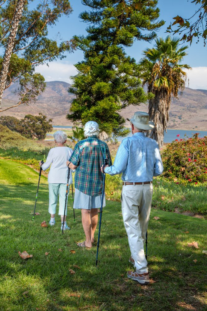 A group of seniors hiking together in a scenic outdoor setting.