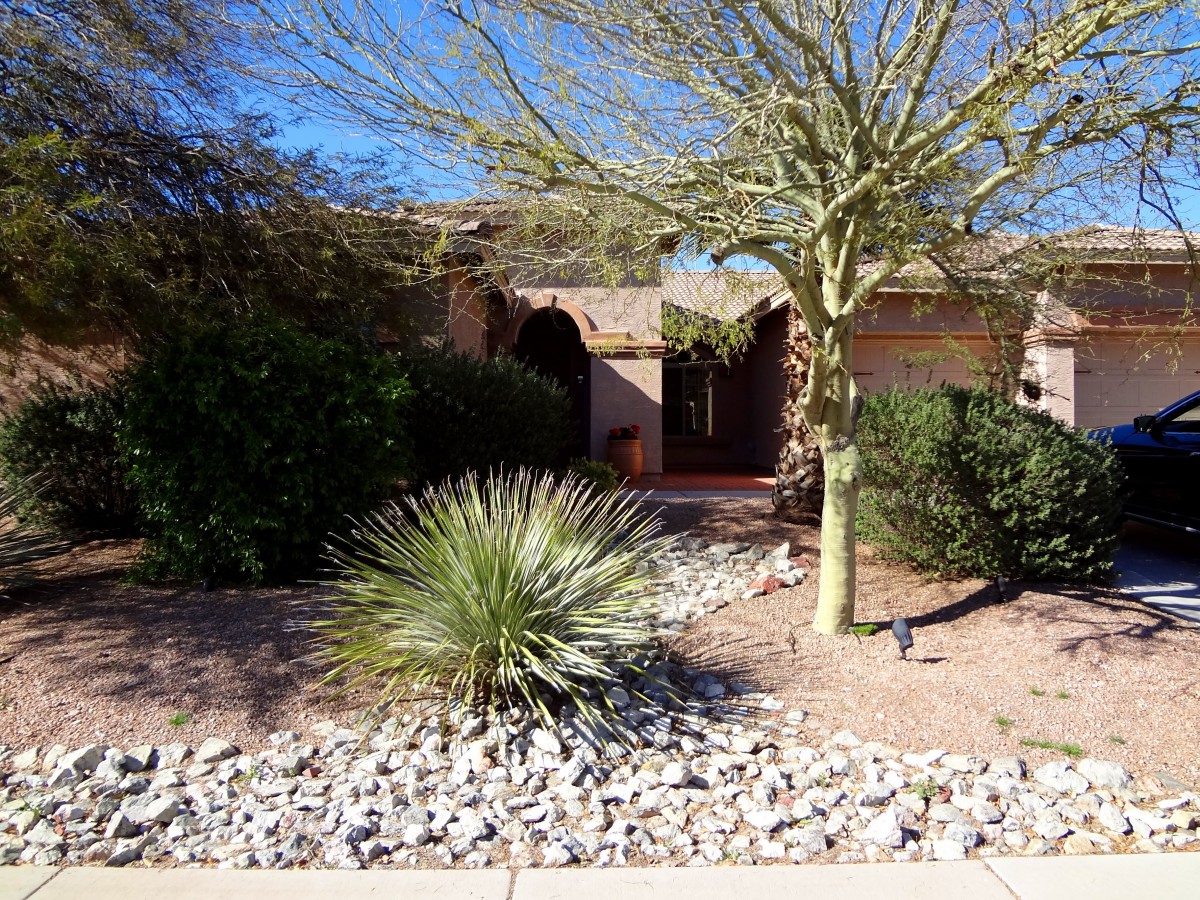 Arizona Love and Care