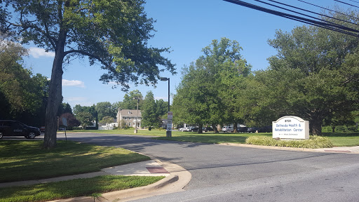 A sunny day showcasing a peaceful street lined with trees and green grass.