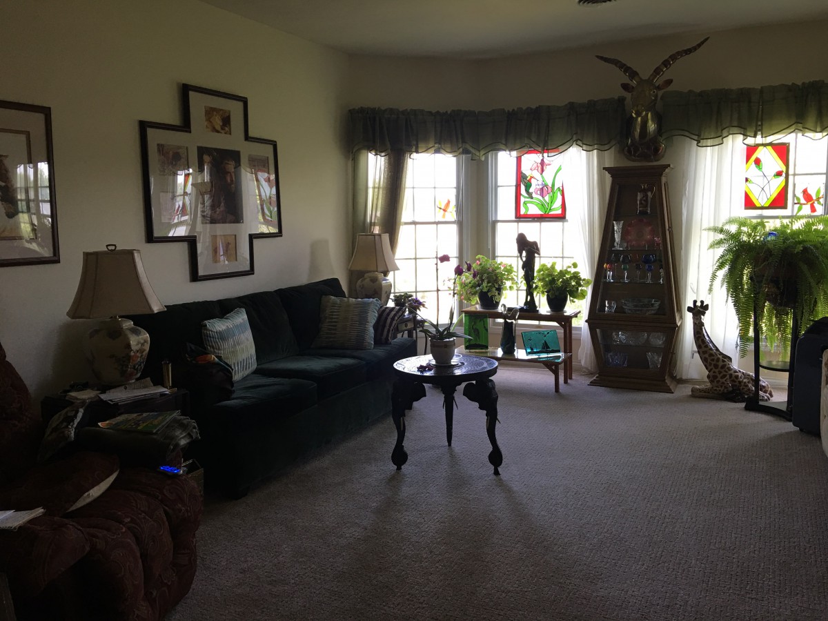 A cozy living room with a sofa, decorative tables, and a variety of plants near the windows.