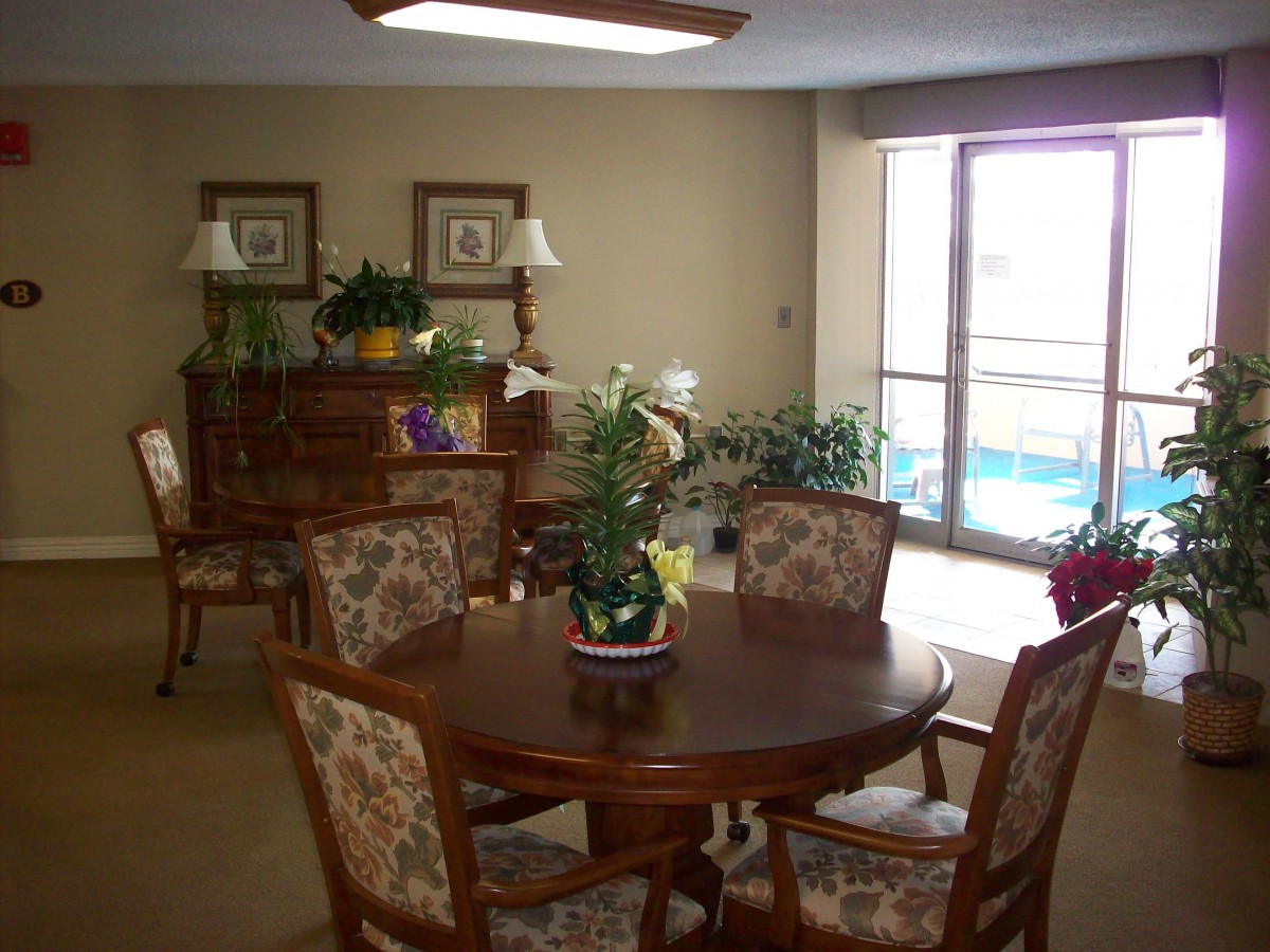 A cozy dining room with a wooden table, floral upholstered chairs, indoor plants, and ample natural light.