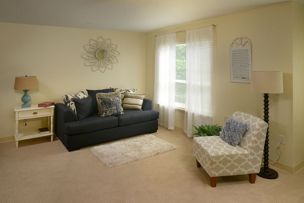 A cozy living room with a dark sofa, patterned armchair, and light flowing curtains.