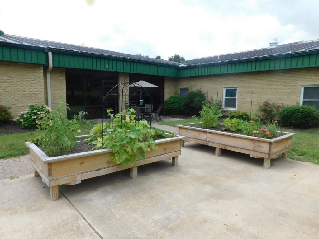 A courtyard with raised garden beds filled with plants and vegetables.