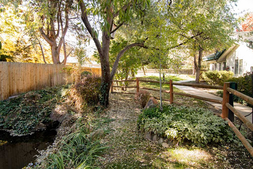 A serene pathway lined with trees and greenery, leading to a peaceful stream.