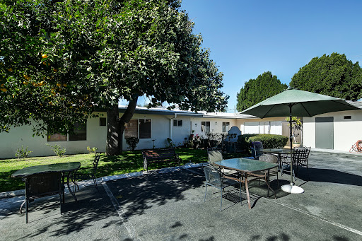 A sunny outdoor patio area with seating, surrounded by trees and a view of the house.