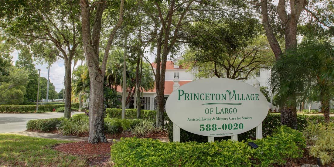 Princeton Village Of Largo