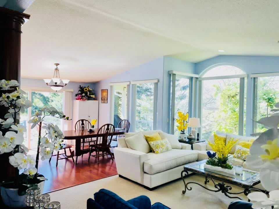 A bright and airy open-plan living and dining space with large windows, cozy furniture, and elegant decor.
