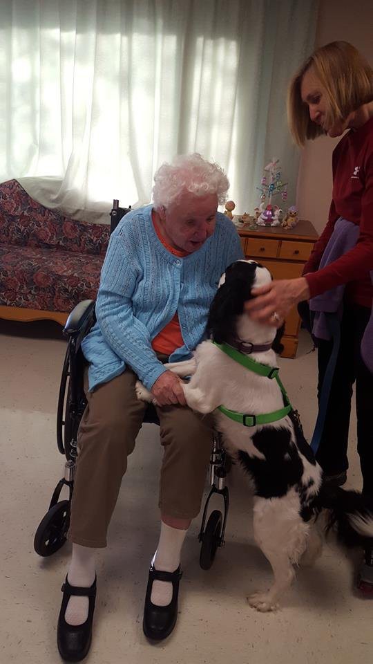 An elderly woman in a wheelchair interacts joyfully with a dog indoors.