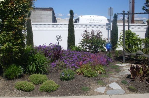 Alderwood Assisted Living