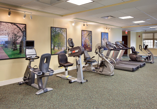 A well-equipped gym featuring various cardio machines for a complete workout experience.