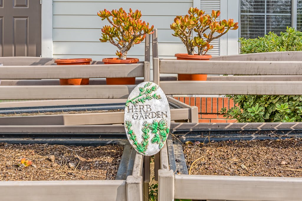 A small herb garden with a decorative sign and planters filled with plants.