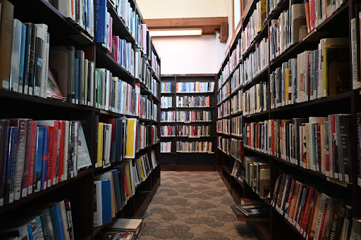 A view of a tranquil library aisle filled with books.