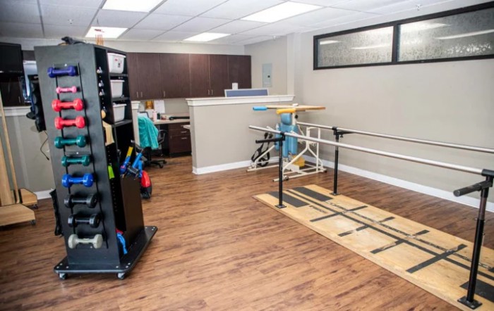 Mount Vista Rehabilitation And Health Center