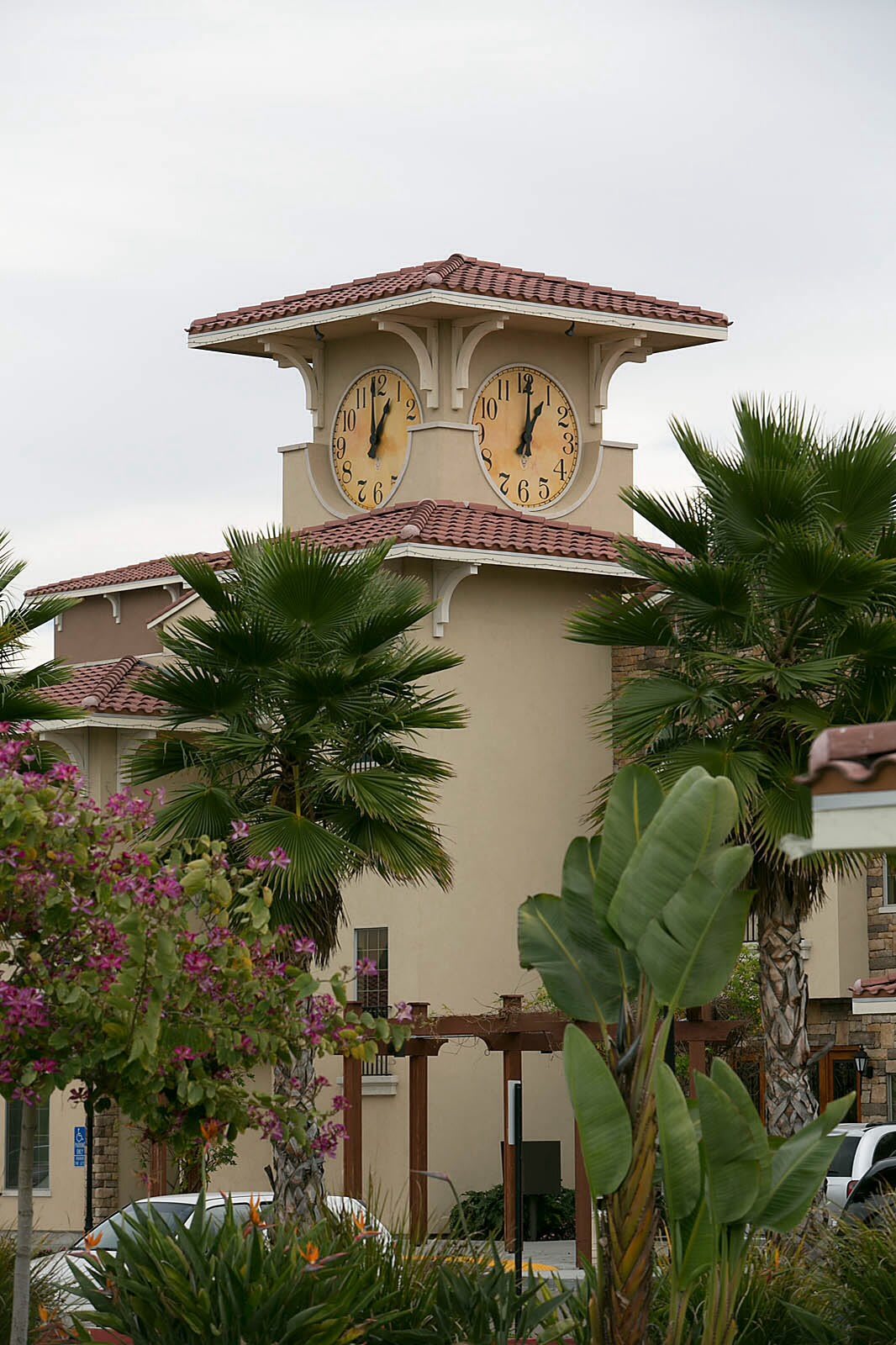 A clock tower surrounded by palm trees and lush greenery.
