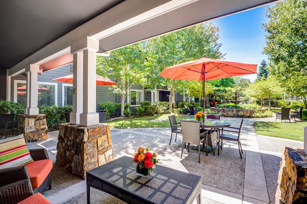 A sunny patio with outdoor seating and vibrant umbrellas surrounded by lush greenery.