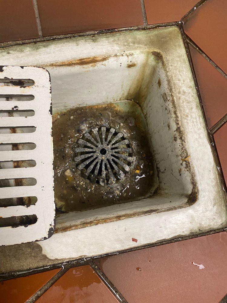 A dirty kitchen drain in need of cleaning.
