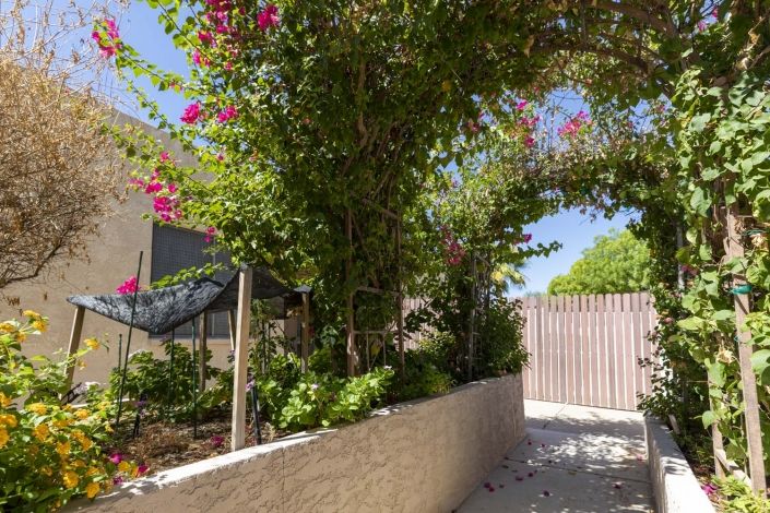 A sunny garden path lined with trees and flowering plants.