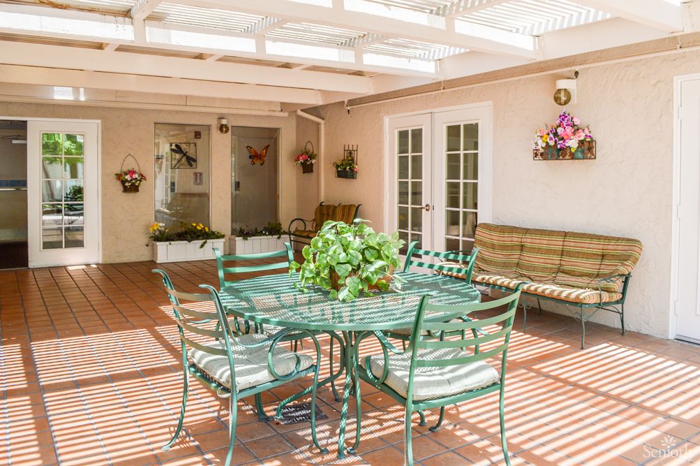 A sunlit patio with a glass table and chairs, adorned with plants and decorative items.
