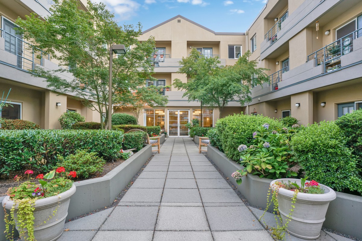 A serene courtyard with lush greenery and a pathway leading to a building entrance.