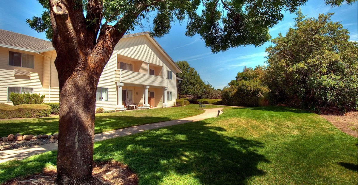 A sunny day view of a house with a large lawn and trees.