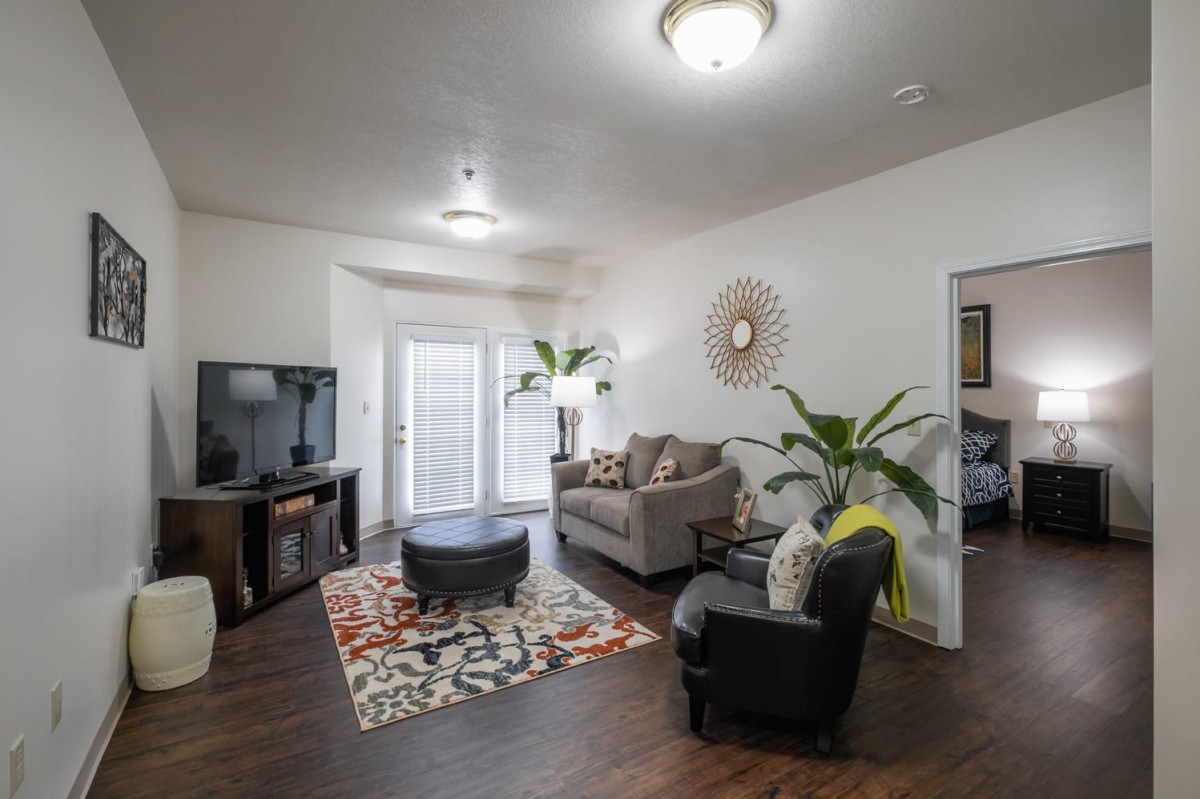 A cozy living room with modern furniture and decor, featuring a sofa, chair, coffee table, and plants.