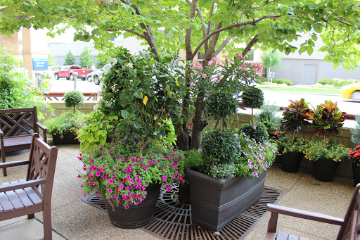 Arbor Terrace
