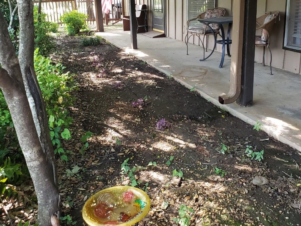 A shaded garden patio with a birdbath and various plants.