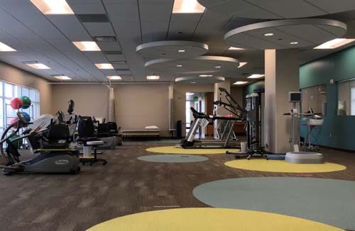 A spacious and modern gym featuring various exercise equipment and distinct circular mats.