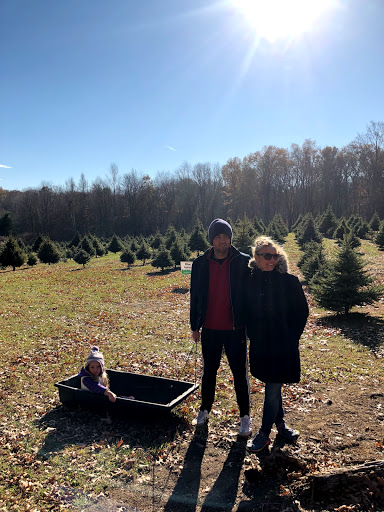 A family enjoying a sunny day at a Christmas tree farm.