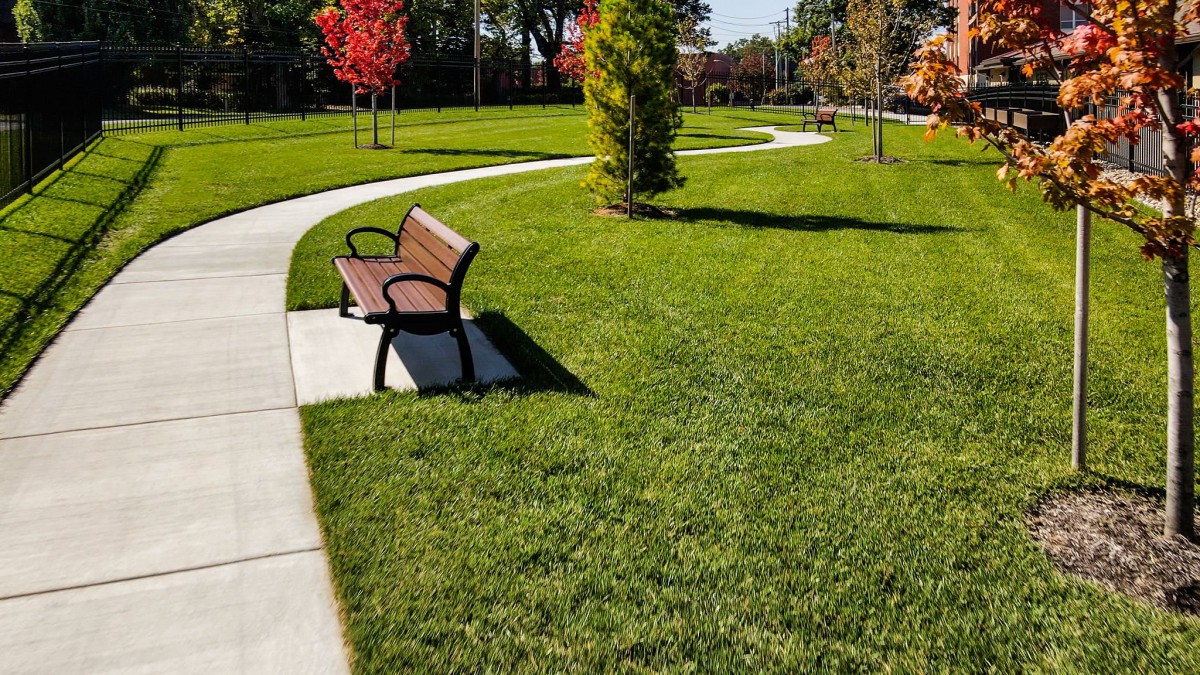 A peaceful park scene with a wooden bench beside a winding pathway and green grass.