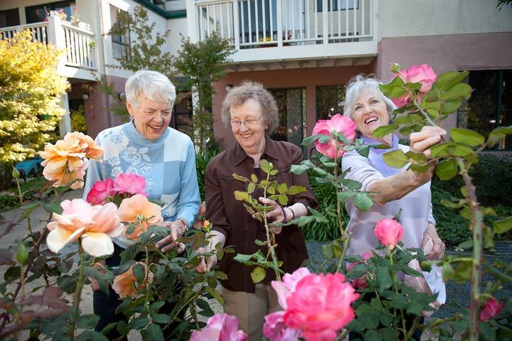 A group of seniors enjoying gardening together, surrounded by vibrant flowers.