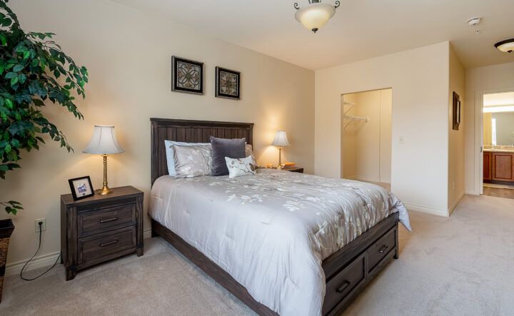 A cozy and well-decorated bedroom with a large bed and two bedside lamps.