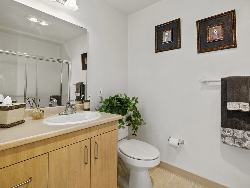 A clean and neatly organized bathroom with a potted plant and decorative wall art.