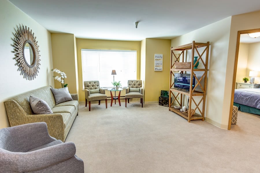 A cozy living room with a sofa, chairs, and a bookshelf near a large window.