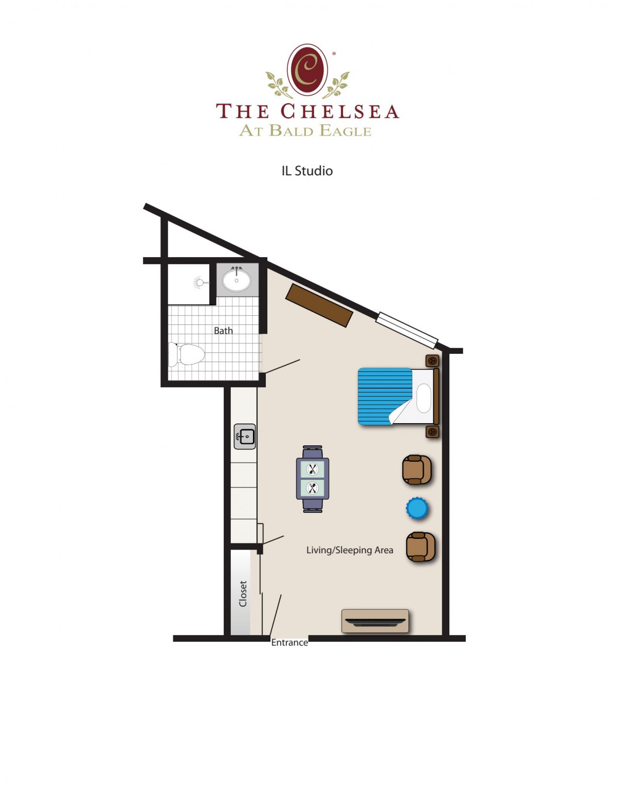 A floor plan of a studio apartment with designated areas for living, sleeping, and kitchen.