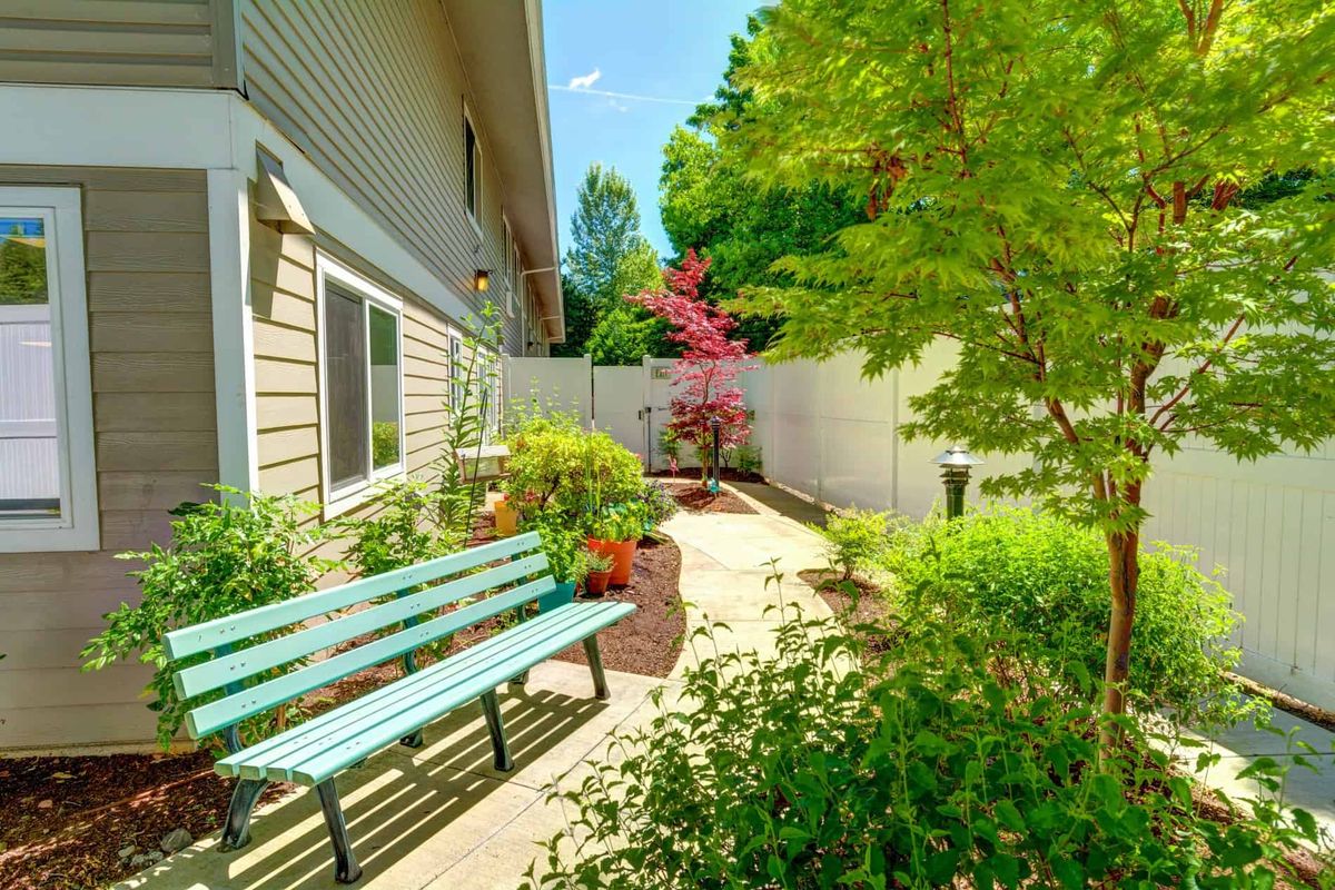 A serene garden with a bench and lush greenery alongside a pathway.