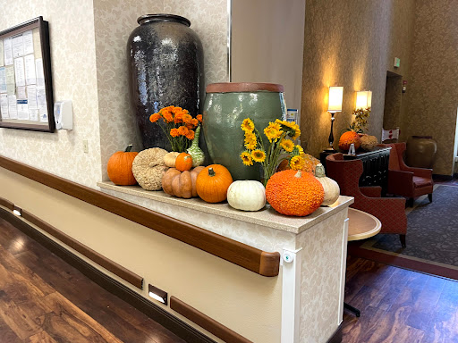 A cozy autumn arrangement featuring various pumpkins and flowers, enhancing the warm ambiance of the space.