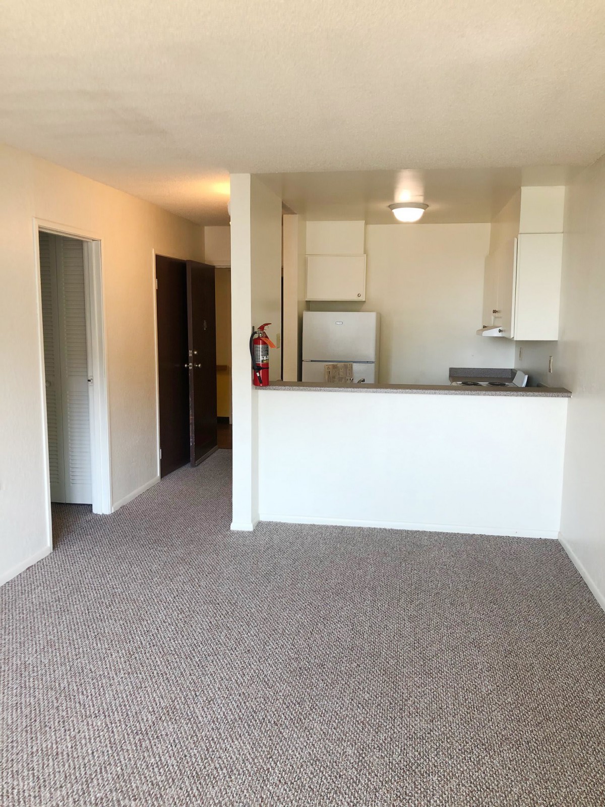 A view of an open-concept apartment with a carpeted living area and a compact kitchen.