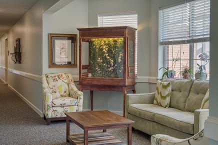 A cozy living room with a large aquarium, comfortable seating, and elegant decor.