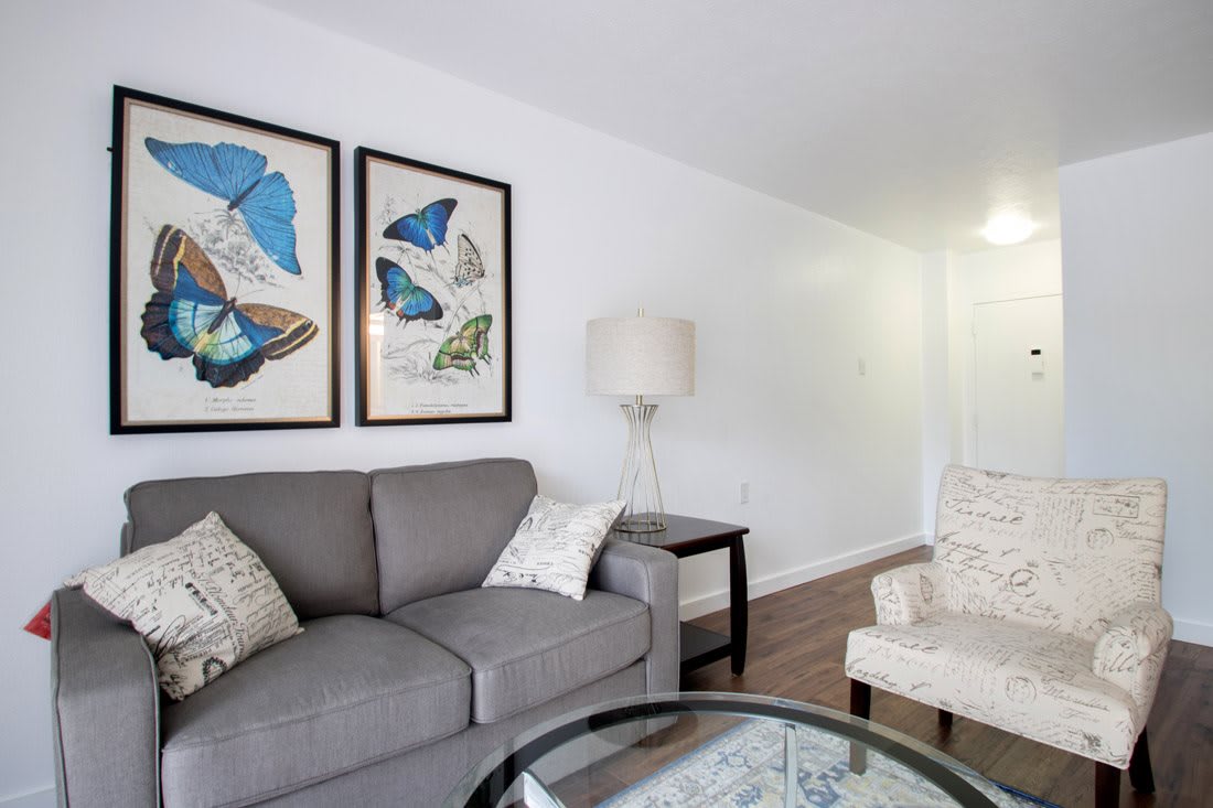 A cozy living room with a grey sofa, butterfly artwork, and modern decor.