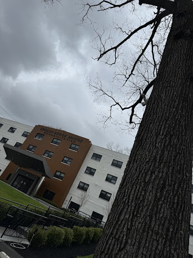 A view of a modern building partially obscured by a tree on a cloudy day.