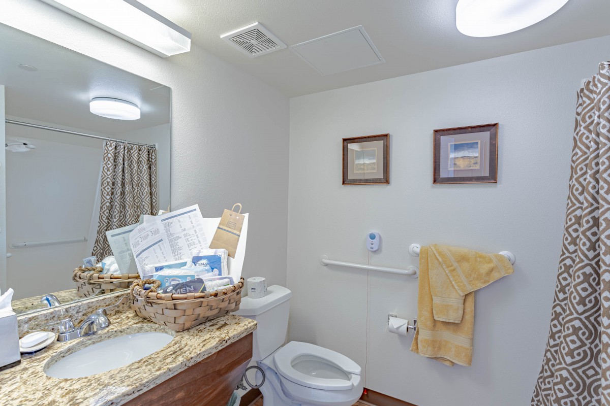 A well-lit bathroom with a sink, toilet, and decorative elements.