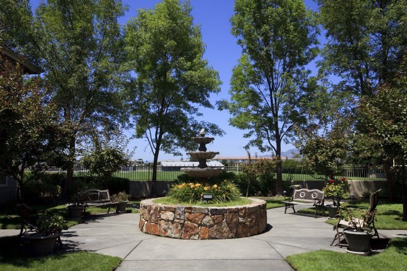 Aegis of Napa