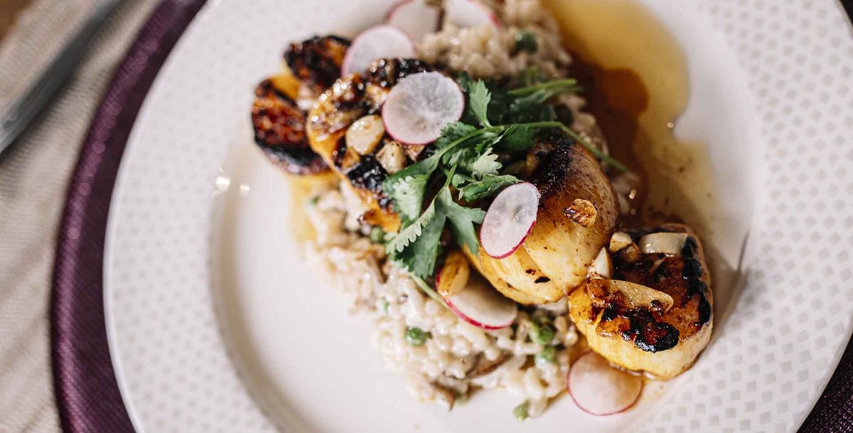 A beautifully plated dish featuring grilled vegetables topped with fresh herbs and radish slices.
