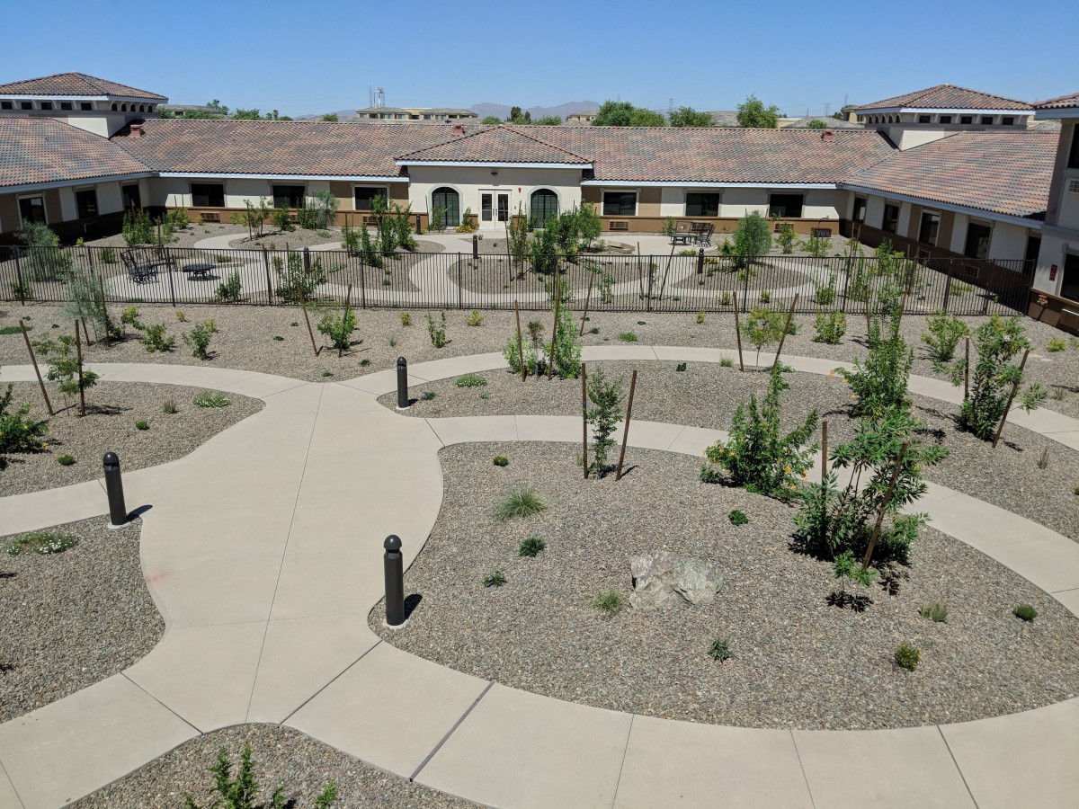A courtyard with desert landscaping and winding pathways surrounded by buildings under a clear blue sky.