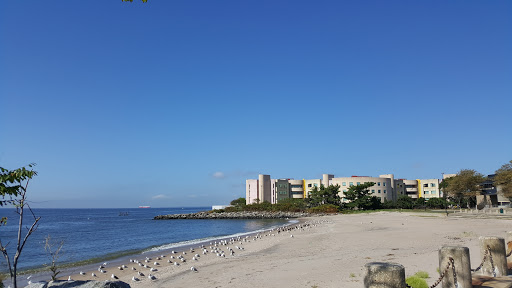 A serene beach view with clear blue skies and gentle waves lapping at the shore.