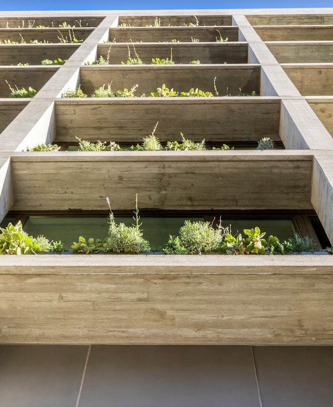 A sustainable building facade featuring a vertical garden with various plants.