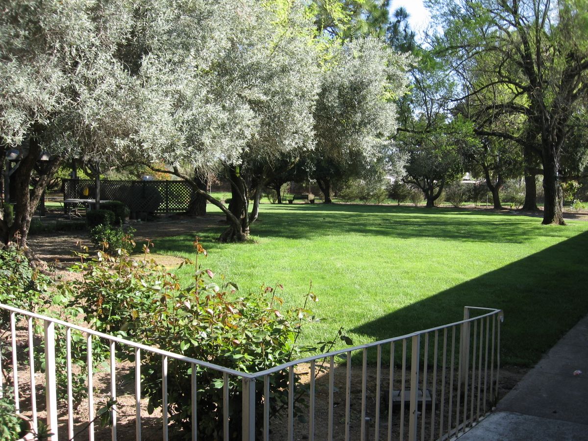 A serene garden with lush green grass and trees, enclosed by a fence.
