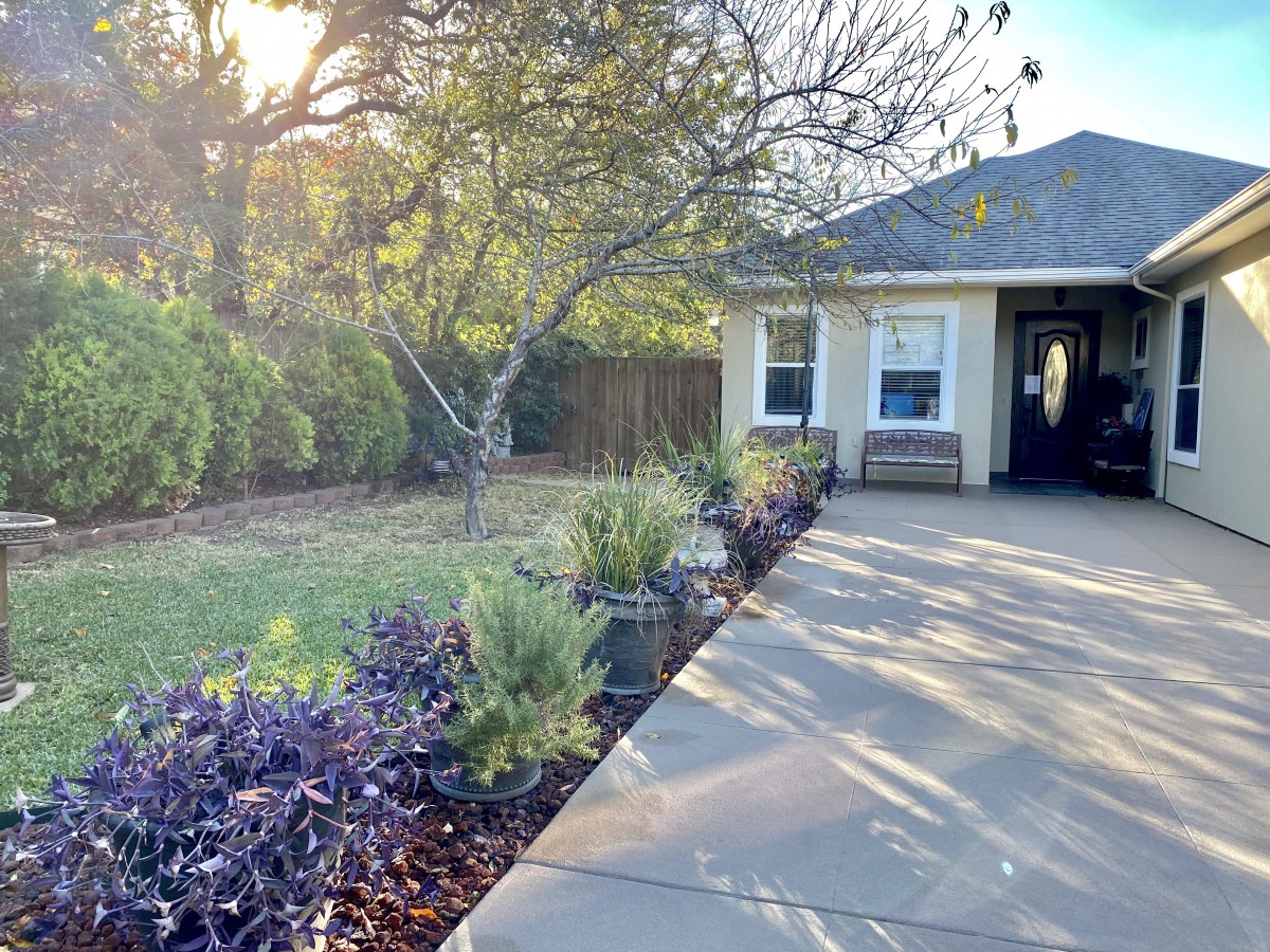 A serene garden view with a small house, concrete pathway, and lush greenery basking in sunlight.