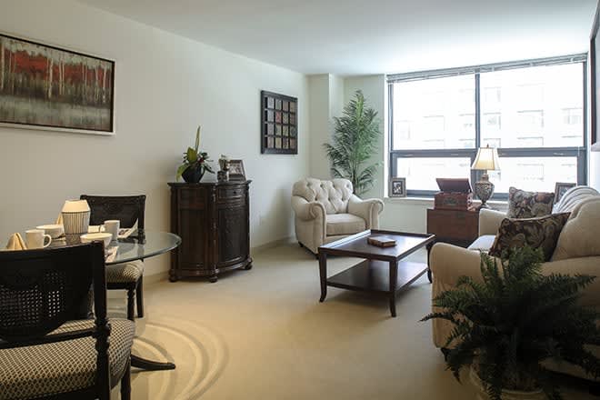 A cozy living room with comfortable seating, a coffee table, and decorative plants.